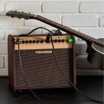 Fishman Loudbox Mini Amp