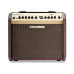 Fishman Loudbox Mini Amp