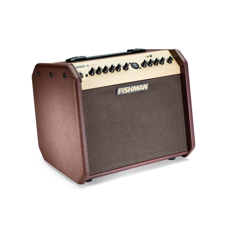 Fishman Loudbox Mini Amp