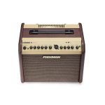 Fishman Loudbox Mini Amp