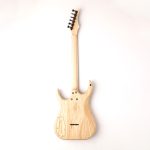 Skervesen Velociraptor White