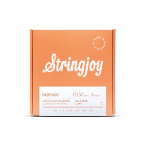 Stringjoy Foxwoods | Light Gauge (12-54) Coated Phosphor Bronze Acoustic Guitar Strings