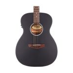 D'Angelico Premier Tammany CS Black