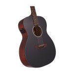 D'Angelico Premier Tammany CS Black