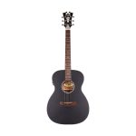 D'Angelico Premier Tammany CS Black