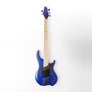 Dingwall NG3 5 -String Blueberry