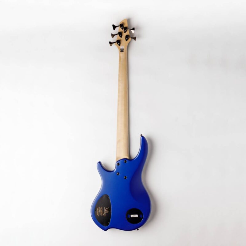 Dingwall NG3 5 -String Blueberry