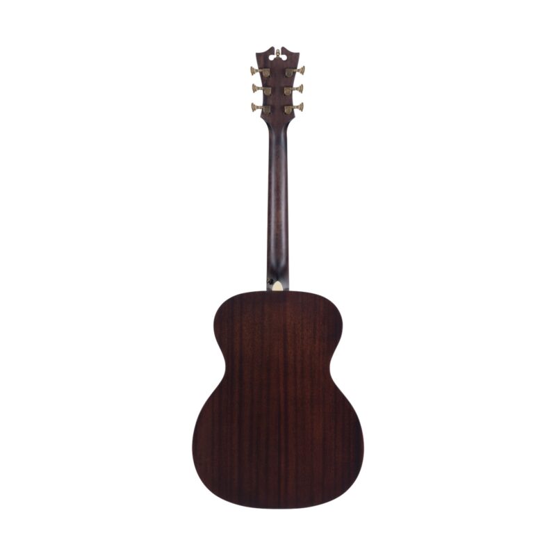 D'Angelico Premier Tammany Natural Acoustic Guitar